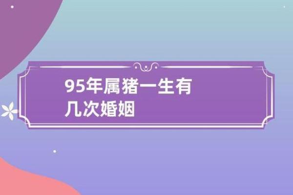 2007年猪年命运解析：揭示生肖猪的独特魅力与人生道路