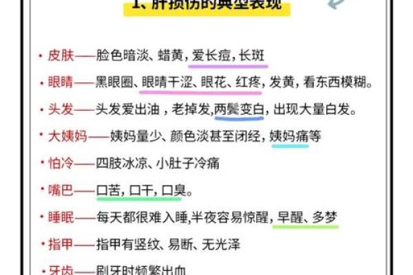 以命养命：探讨生命中的坚持与牺牲