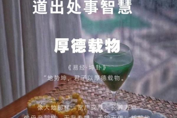 根据什么会什么命的成语和人生智慧探讨