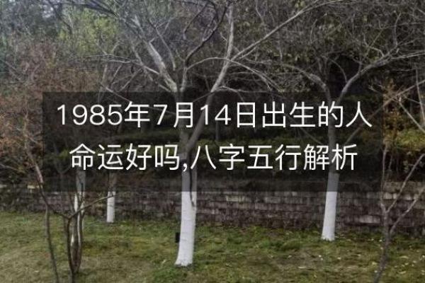 探索生命的意义:20070717出生者的命运解析 探索生命的意义:20070717出生者的命运解析
