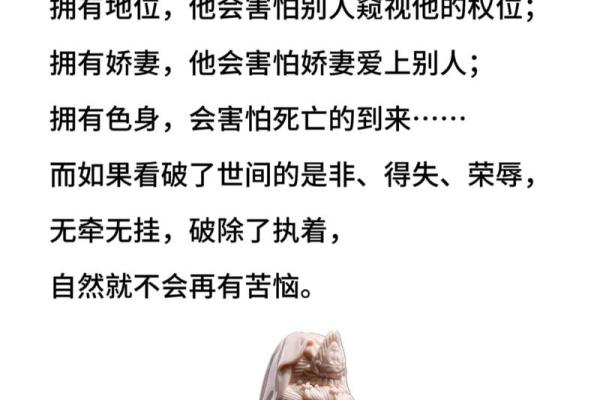 生命数字主命339的独特能量与人生之道探秘 生命数字主命339的独特能量与人生之道探秘