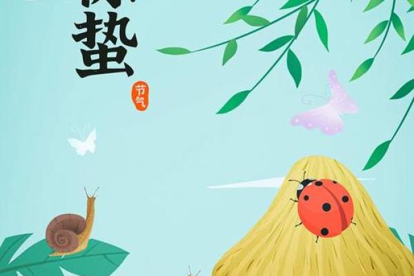 探秘农历1981年出生的人：命运与性格的奇妙结合