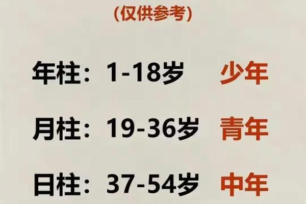 1973属龙的命运解析：从五行看你的未来与机会