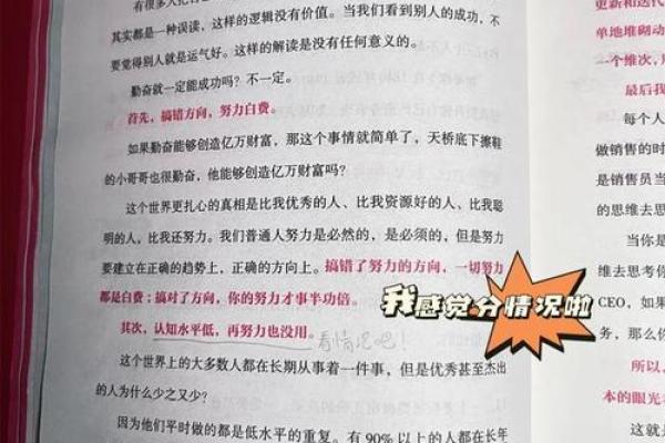 1928年龙年出生的人命运解析与生活哲学