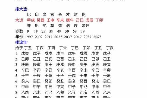 属狗与属猴的命理分析：探索火命与金命的相遇与合作