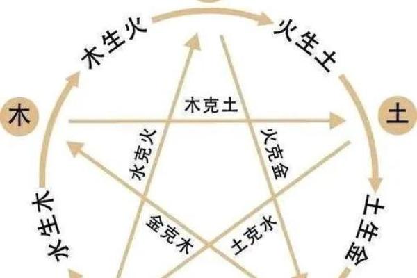 如何通过属相和命理了解个人命运的秘密 如何通过属相和命理了解个人命运的秘密