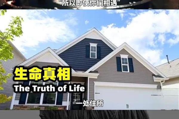 生命的命与用:探寻生命的真实意义与价值 生命的命与用:探寻生命的真实意义与价值