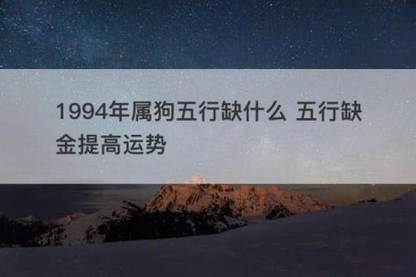 1982年属狗人的命运解析:从性格到运势的全面解读 1982年属狗人的命运解析:从性格到运势的全面解读