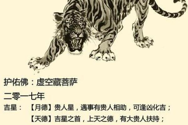 生肖虎2022年的命运走向与运势分析 生肖虎2022年的命运走向与运势分析