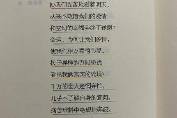 命运的转折：妻子早逝后的生活与重生之路
