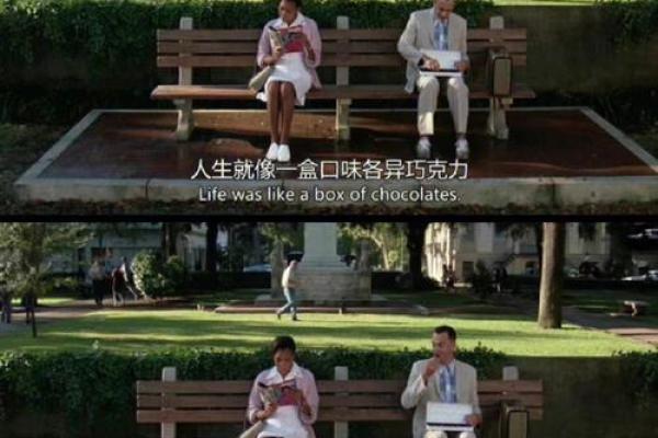 探索1969年出生的命运:宅命与人生的秘密 探索1969年出生的命运:宅命与人生的秘密