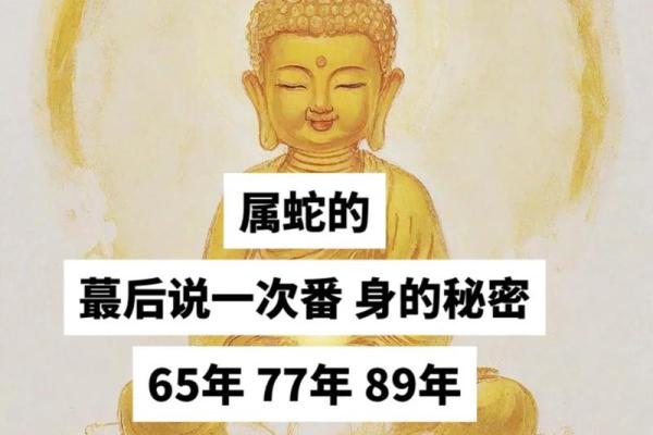 65年出生的生肖属蛇,命运与性格解析 65年出生的生肖属蛇,命运与性格解析