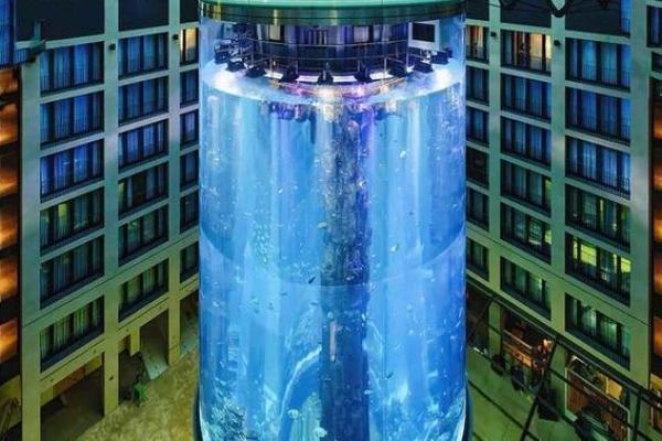 养鱼的命理分析:哪些生肖最适合投入水族世界? 养鱼的命理分析:哪些生肖最适合投入水族世界?