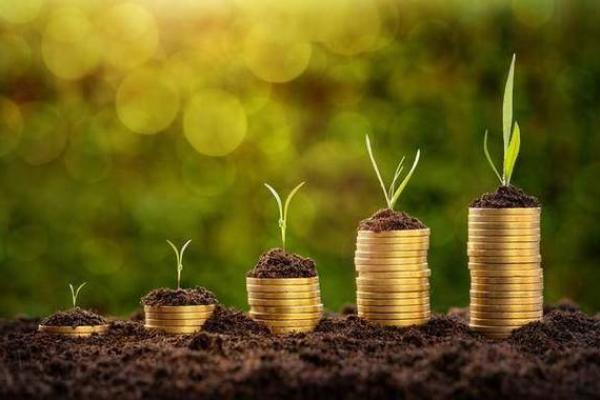 托财命是什么生肖女命，谁最适合？解读生肖与财富的关系