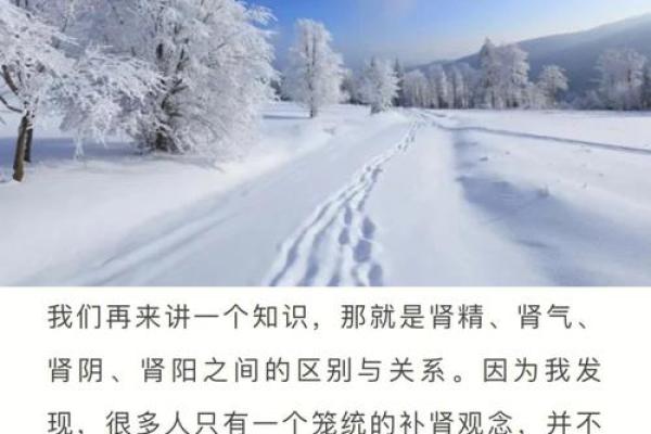 19960206出生的人:命运与性格的深度解析 19960206出生的人:命运与性格的深度解析