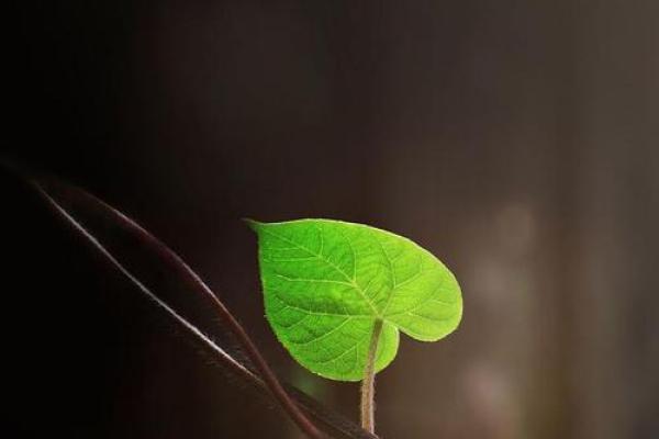 2037年：命运新篇的开启与生活的启示