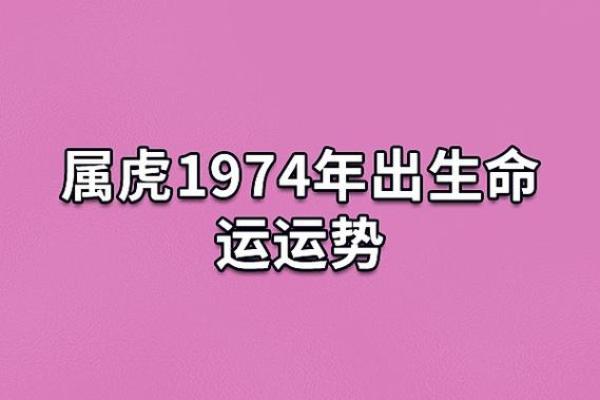 19851011出生的人生轨迹与命运解析