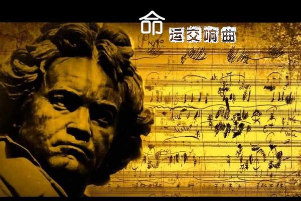 1992年出生的女性命运解析：智慧与机遇的交响曲