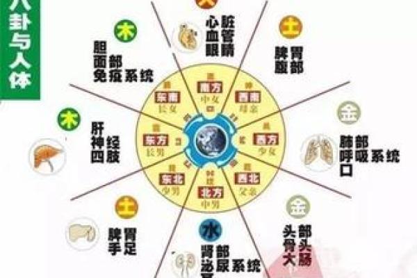 命主为木命：在五行中寻求生命的根基与成长之道