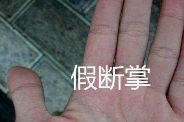 身材均衡的人生运势：揭示你的体态与命运的隐秘关系