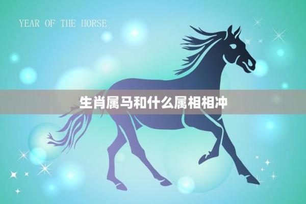 命运与属相：探寻生肖背后的神秘力量与人生轨迹