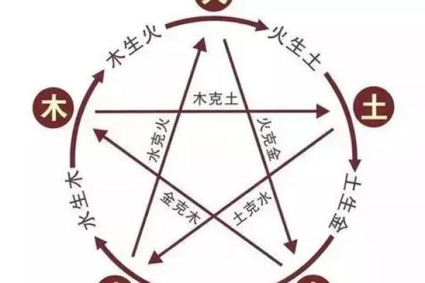 金命与木命的财运结合：如何通过五行提升财富运势