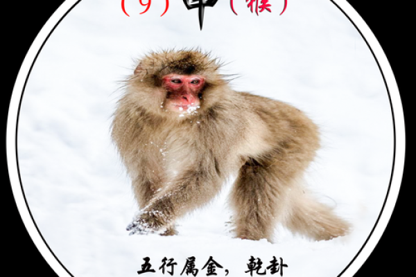 解密2005猴年:影响你命运的生肖与五行之谜 解密2005猴年:影响你命运的生肖与五行之谜