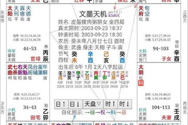 命理甲乙丙的奥秘：解读命格之道，探索命运的启示