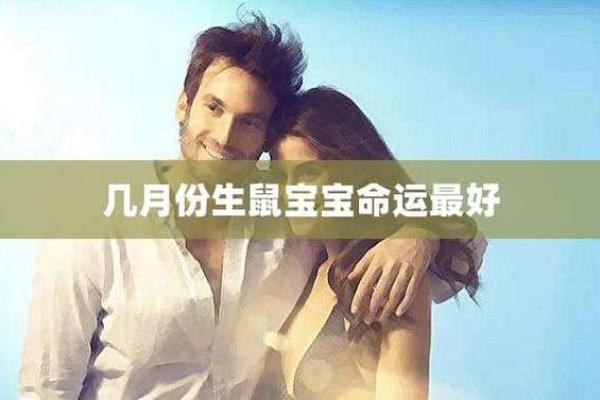 十二月鼠命解析:探秘鼠年出生的人的命运与性格特征 十二月鼠命解析:探秘鼠年出生的人的命运与性格特征