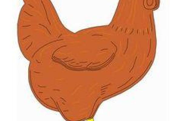 属鸡剑锋金命的人适合什么命？深入探讨相生相克的奥秘！