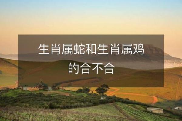 属鸡2017年命理解析：命中注定的优雅与挑战