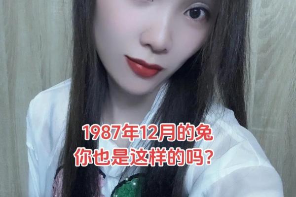 探秘兔年出生的你：1987年属兔命运与性格解析