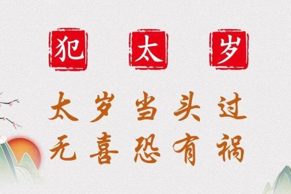 太岁守命：探寻命理与人生的奥秘