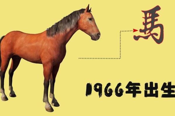 2002年出生的人：属马人的命运和性格分析