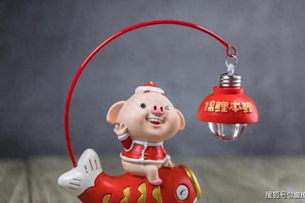 属猪命的人什么时候会迎来好运转机？