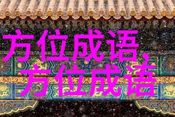 命什么无什么，成语背后的智慧与哲理