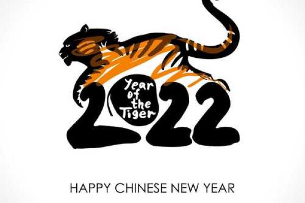 217年属鸡命运解析：探索属鸡人的人生揭示与命理智慧