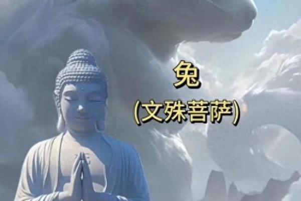 2023年的兔年运势与命格解析：带你揭开兔年的神秘面纱