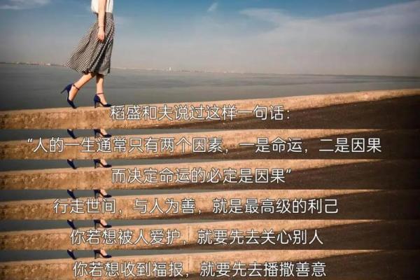 根据出生日期看命运，了解你的生命密码！