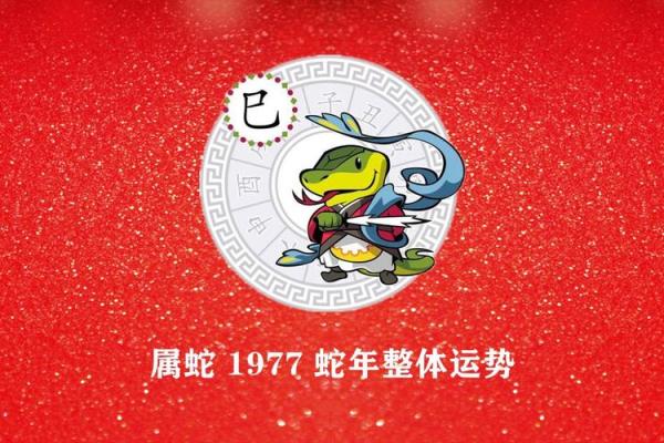 2014年属蛇人运势解析：揭秘你的命运与人生机遇