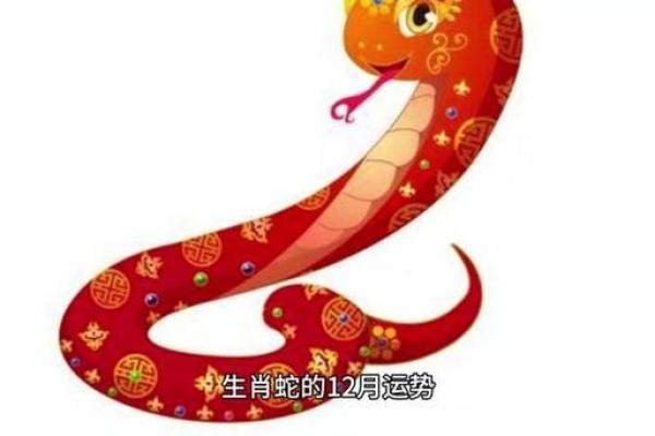 2014年属蛇人运势解析：揭秘你的命运与人生机遇