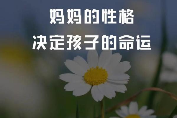 1985年牛女命理解析：她们的性格与命运之旅