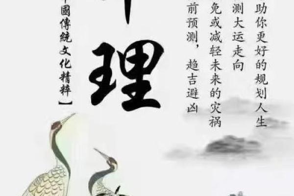 女性1991年出生：命理解析与人生方向的启示