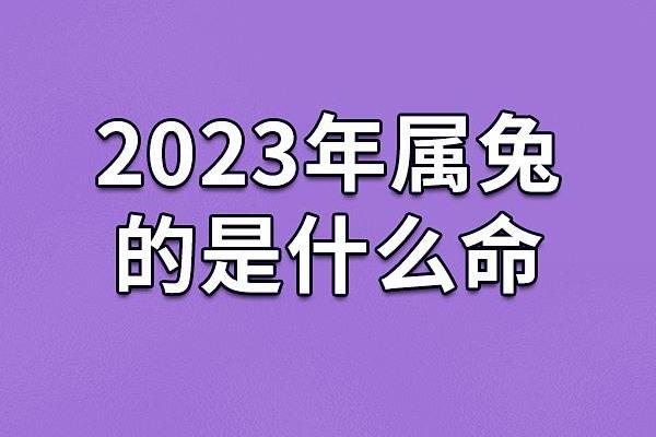 1975年出生的兔子命运解析：乐观与智慧的结合