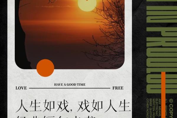 深入解读：辛未命主的个性特征与人生选择
