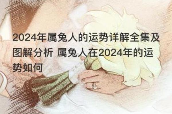 属兔人的命运解析：兔年出生的朋友们如何过上更好的生活？