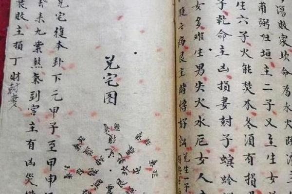 深入解读：辛未命主的个性特征与人生选择