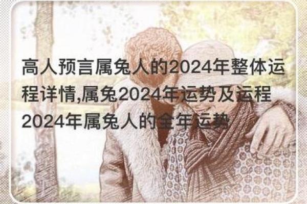 属兔人的命运解析：兔年出生的朋友们如何过上更好的生活？