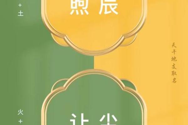 1981年出生者：你的命运属于土还是火？深度解读！