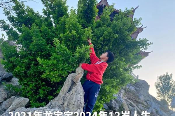 1975年出生的人命运解析：探索性格与人生道路的秘密